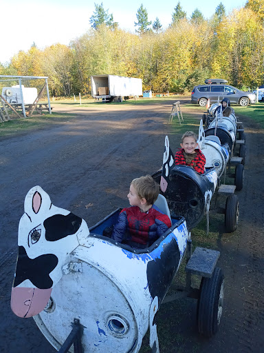 Pumpkin Patch «Rutledge Corn Maze LLC», reviews and photos, 302 93rd Ave SE, Olympia, WA 98501, USA