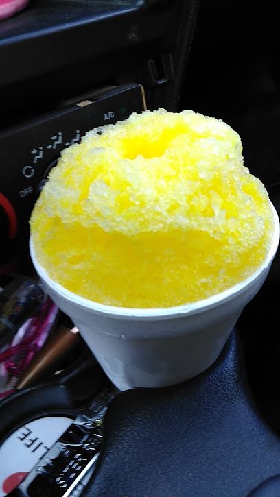 Texas Sno Pro