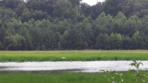 Nature Preserve «Wye Island Natural Resources Management Area», reviews and photos, 632 Wye Island Rd, Queenstown, MD 21658, USA