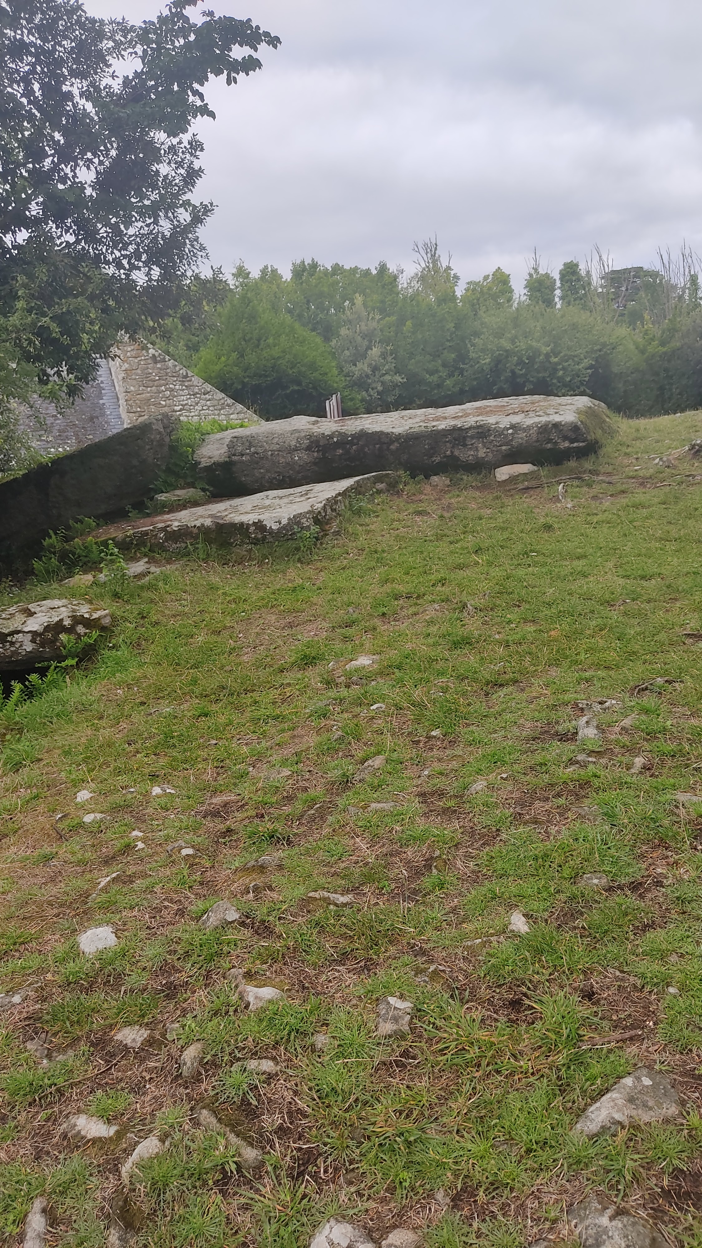 Photo n° 1 de l'avis de Perrine.o fait le 10/08/2021 à 08:26