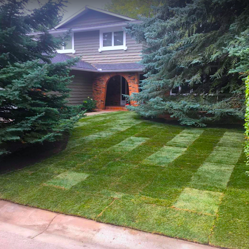 Scott’s Sod Sales & Installation Inc.