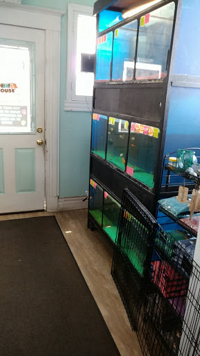 Pet Store «Animal House», reviews and photos, 7869 Hamilton Ave, Cincinnati, OH 45231, USA