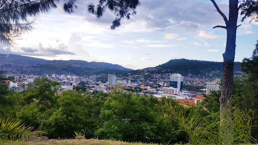 Cursos tocados Tegucigalpa
