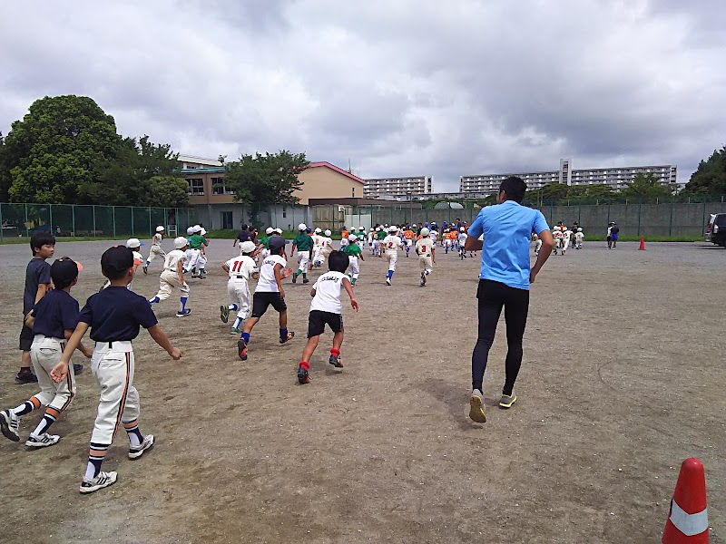 高洲運動公園