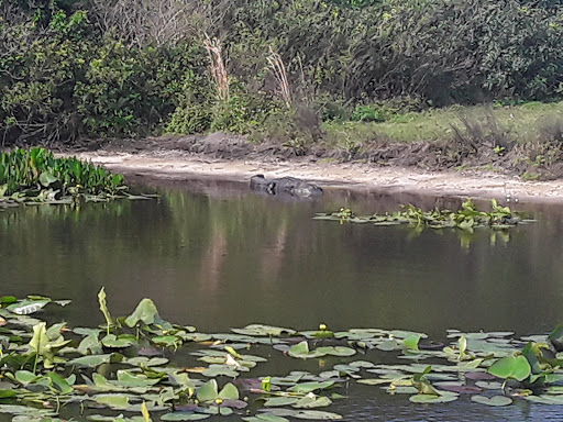 Golf Course «Buffalo Creek Golf Course», reviews and photos, 8100 69th St E, Palmetto, FL 34221, USA