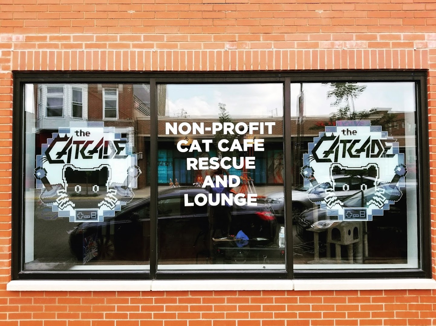 The Catcade - Cat Cafe & Rescue