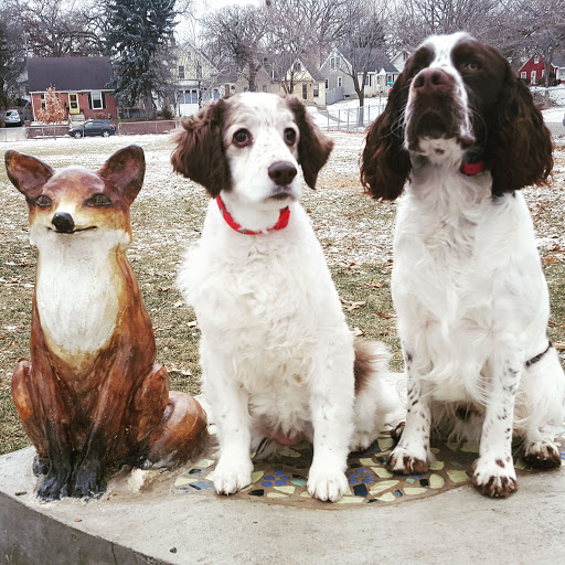 Park «May Park», reviews and photos, 816 Clayland St, St Paul, MN 55104, USA