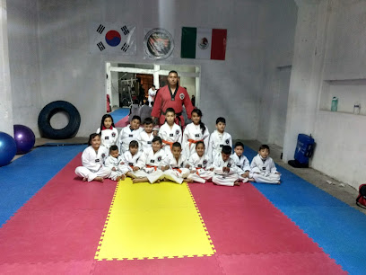 Centro Academico De Tae Kwondo The Tigers - Las Palmas 11-1, Zona Centro, 36200 Romita, Gto., Mexico