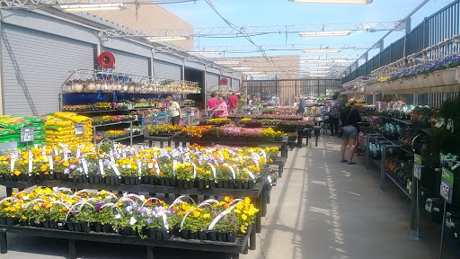 Department Store «Walmart Supercenter», reviews and photos, 20910 Frederick Rd, Germantown, MD 20876, USA