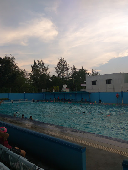 Pelatihan & Kursus Berenang 'Waterclub'