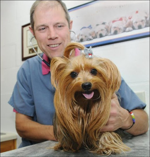 Dalton Animal Care (South)