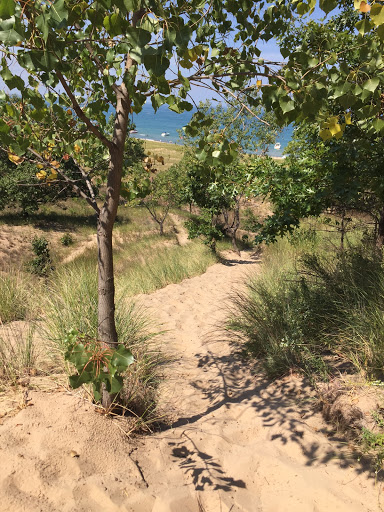 Hiking Area «Cowles Bog Trail», reviews and photos, 1618 N Mineral Springs Rd, Dune Acres, IN 46304, USA