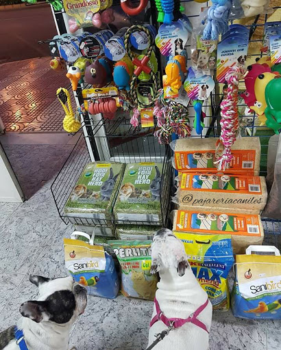 Pajareria Caniles - Roquetas de Mar