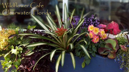 Brunch Restaurant «Wildflower Cafe», reviews and photos, 1465 S Ft Harrison Ave #105, Clearwater, FL 33756, USA