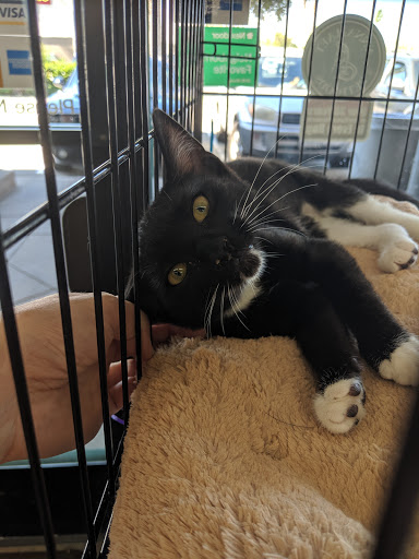 Pet Supply Store «Paw Shoppe Pet Center», reviews and photos, 6416 E Spring St, Long Beach, CA 90815, USA