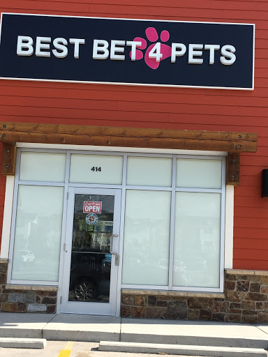 Best Bet 4 Pets
