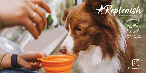 Replenish Pet Chiropractic and All natural dog products