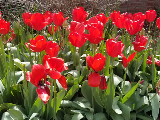 Botanical Garden «Brookgreen Gardens», reviews and photos, 1931 Brookgreen Garden Dr, Murrells Inlet, SC 29576, USA