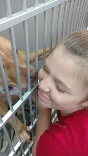 Animal Shelter «Heritage Humane Society», reviews and photos