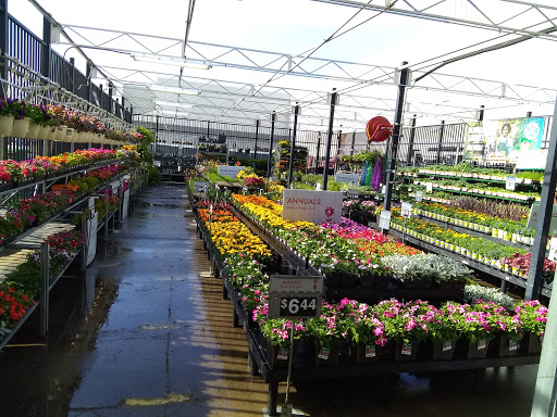 Department Store «Walmart Supercenter», reviews and photos, 8801 Ohio Dr, Plano, TX 75024, USA