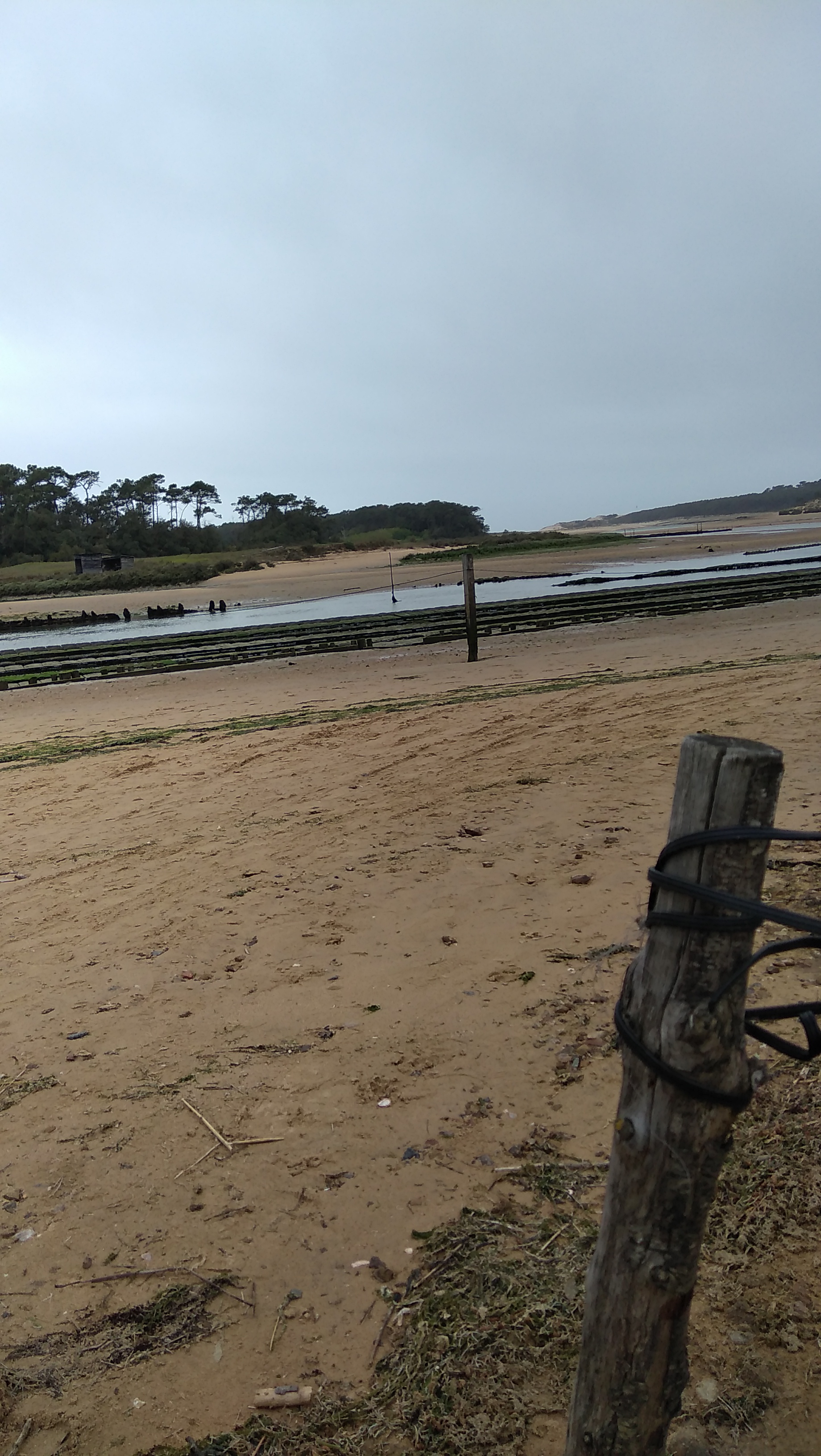 Photo n° 14 de l'avis de Michael.o fait le 10/05/2019 à 15:38