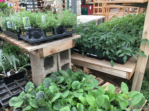 Plant Nursery «Sturtz & Copeland Florist & Greenhouses», reviews and photos, 2851 Valmont Rd, Boulder, CO 80301, USA