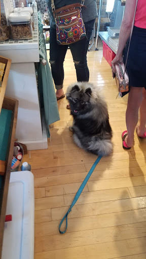 Pet Supply Store «Outer Barks - Water Front Shops», reviews and photos, 1240 Duck Rd, Duck, NC 27949, USA