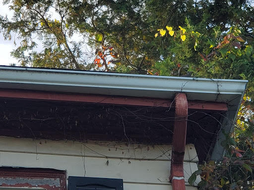 Drug Store «Walgreens», reviews and photos, 9268 Chamberlayne Rd, Mechanicsville, VA 23116, USA