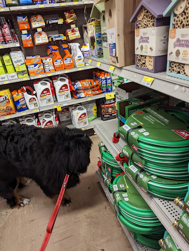 Hardware Store «Magnolia Ace Hardware», reviews and photos, 2420 32nd Ave W, Seattle, WA 98199, USA