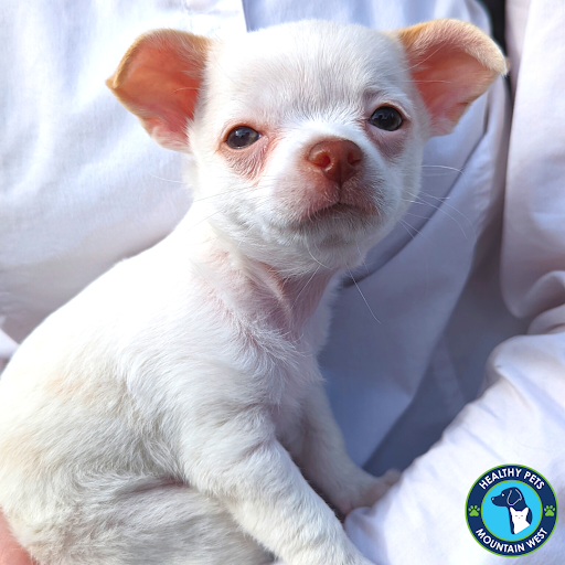 Pet Store «Healthy Pets Mountain West», reviews and photos, 2352 Fort Union Blvd, Cottonwood Heights, UT 84121, USA