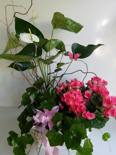 Wholesale Florist «Green Village Flowers», reviews and photos, 5457 Keystone Ct, Plainfield, IL 60586, USA