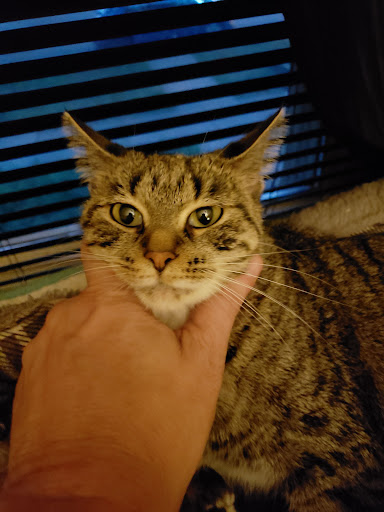 Pet Supply Store «PetSmart», reviews and photos, 4550 W Lake Mary Blvd, Lake Mary, FL 32746, USA