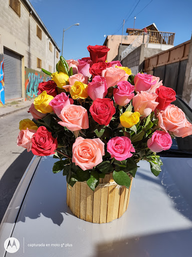 Floreria Orion – Chihuahua