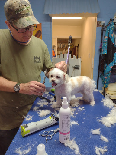 Pampered Pooch Pet Salon