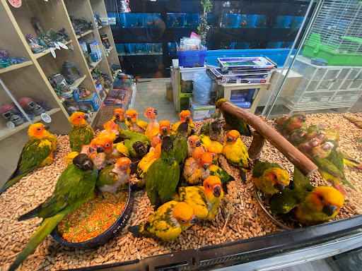 Pet Supply Store «Neighborhood Pet Shop», reviews and photos, 574 Hialeah Dr, Hialeah, FL 33010, USA