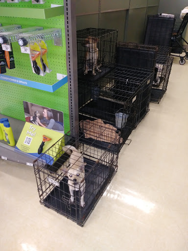 Pet Supply Store «Petco Animal Supplies», reviews and photos, 300 Quaker Ln #3, Warwick, RI 02886, USA