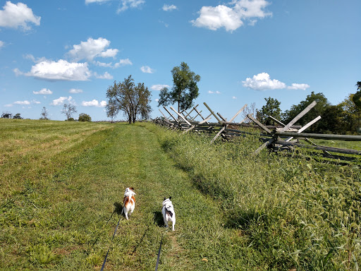 Battle Site «Third Battle of Winchester Battlefield Park», reviews and photos, 541 Redbud Rd, Winchester, VA 22603, USA