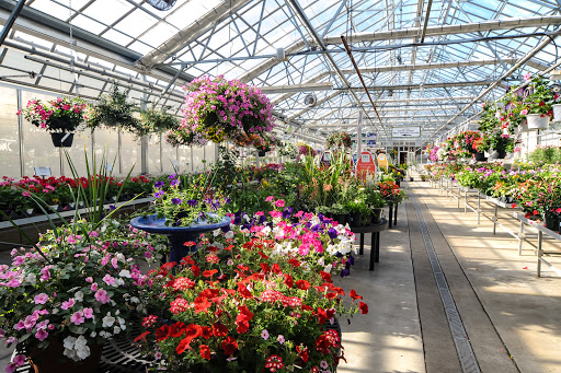 Florist «Dundalk Florist», reviews and photos, 7233 German Hill Rd, Dundalk, MD 21222, USA