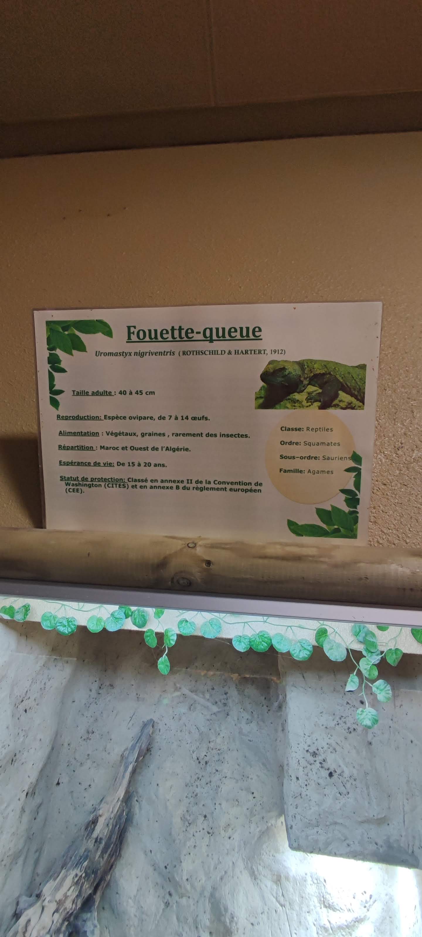 Photo n° 9 de l'avis de Yannick.o fait le 11/02/2023 à 16:29