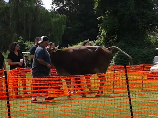 Health Club «The Abington Club», reviews and photos, 300 Meetinghouse Rd, Jenkintown, PA 18946, USA