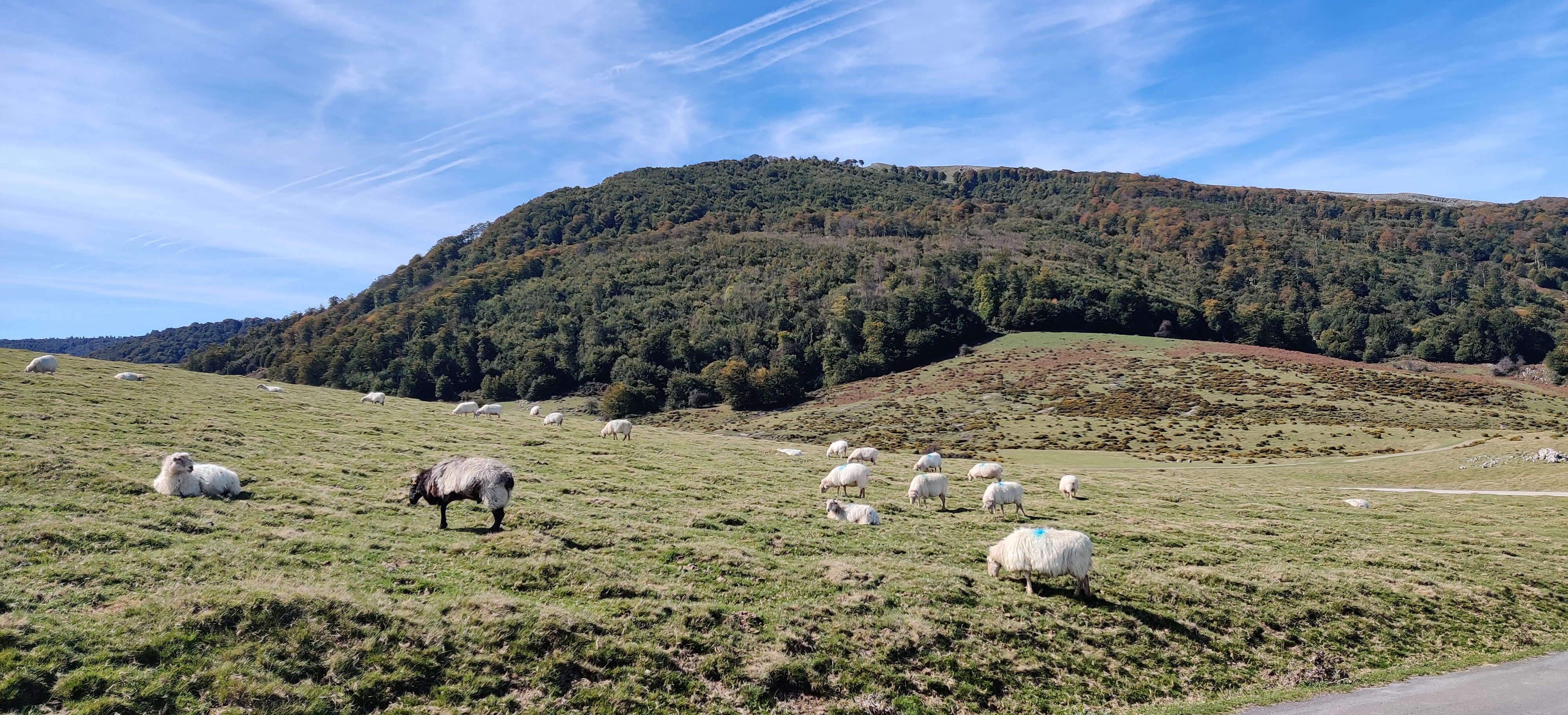 Photo n° 11 de l'avis de Ela... fait le 03/10/2022 à 19:03