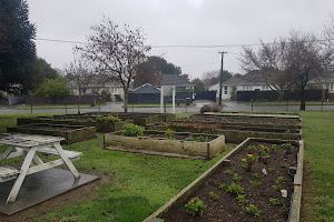 Bryndwr Community Garden