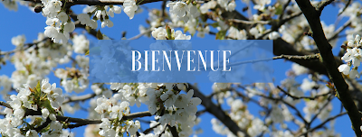 Coraline Charrier Sophrologue Coach Vocal à Paris