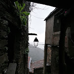 Photo n°1 de l'avis de Maria.a fait le 04/01/2021 à 17:06 sur le  Taberna e Restaurante do Talasnal à Lousã