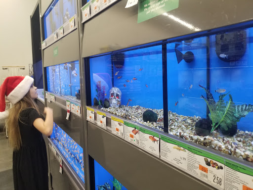 Pet Supply Store «Pet Supplies Plus», reviews and photos, 319 Massachusetts Ave, Lunenburg, MA 01462, USA