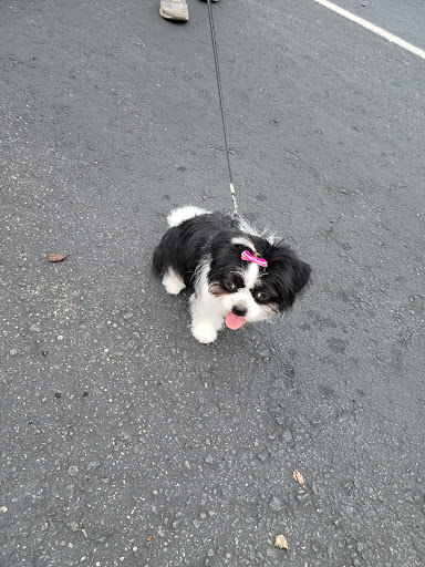 Pet Supply Store «Petco Animal Supplies», reviews and photos, 7 Glenwood Rd, Clinton, CT 06413, USA