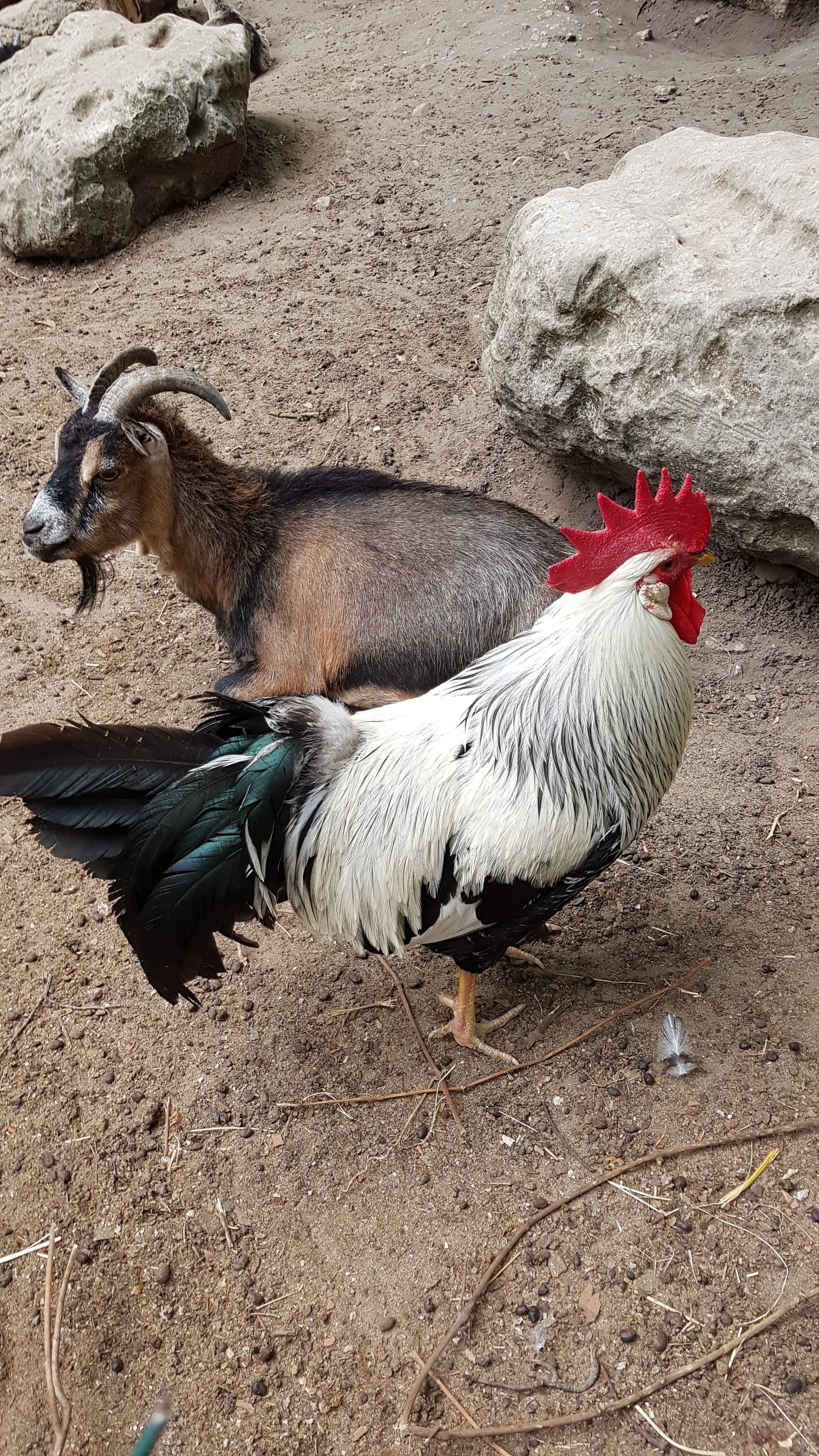 Photo n° 2 de l'avis de Jean-Pierre.l fait le 17/07/2018 à 09:39