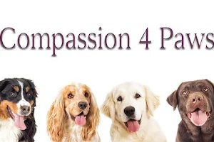 Compassion 4 Paws Veterinary Healing Center image