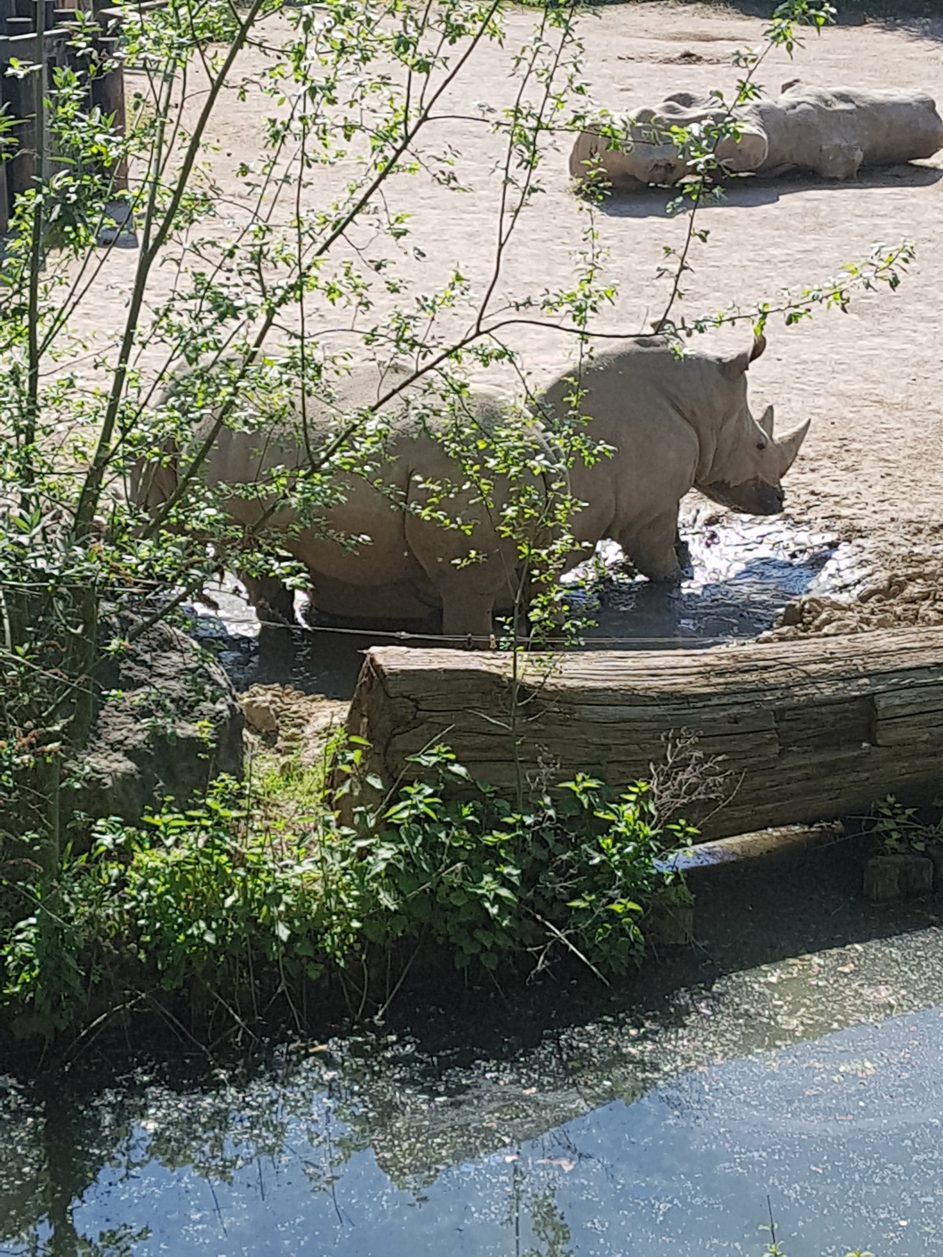 Photo n° 16 de l'avis de Celia.a fait le 30/04/2019 à 08:20