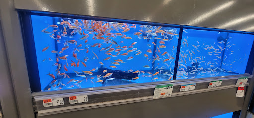 Pet Supply Store «Pet Supplies Plus», reviews and photos, 720 Hoosick Rd, Troy, NY 12180, USA